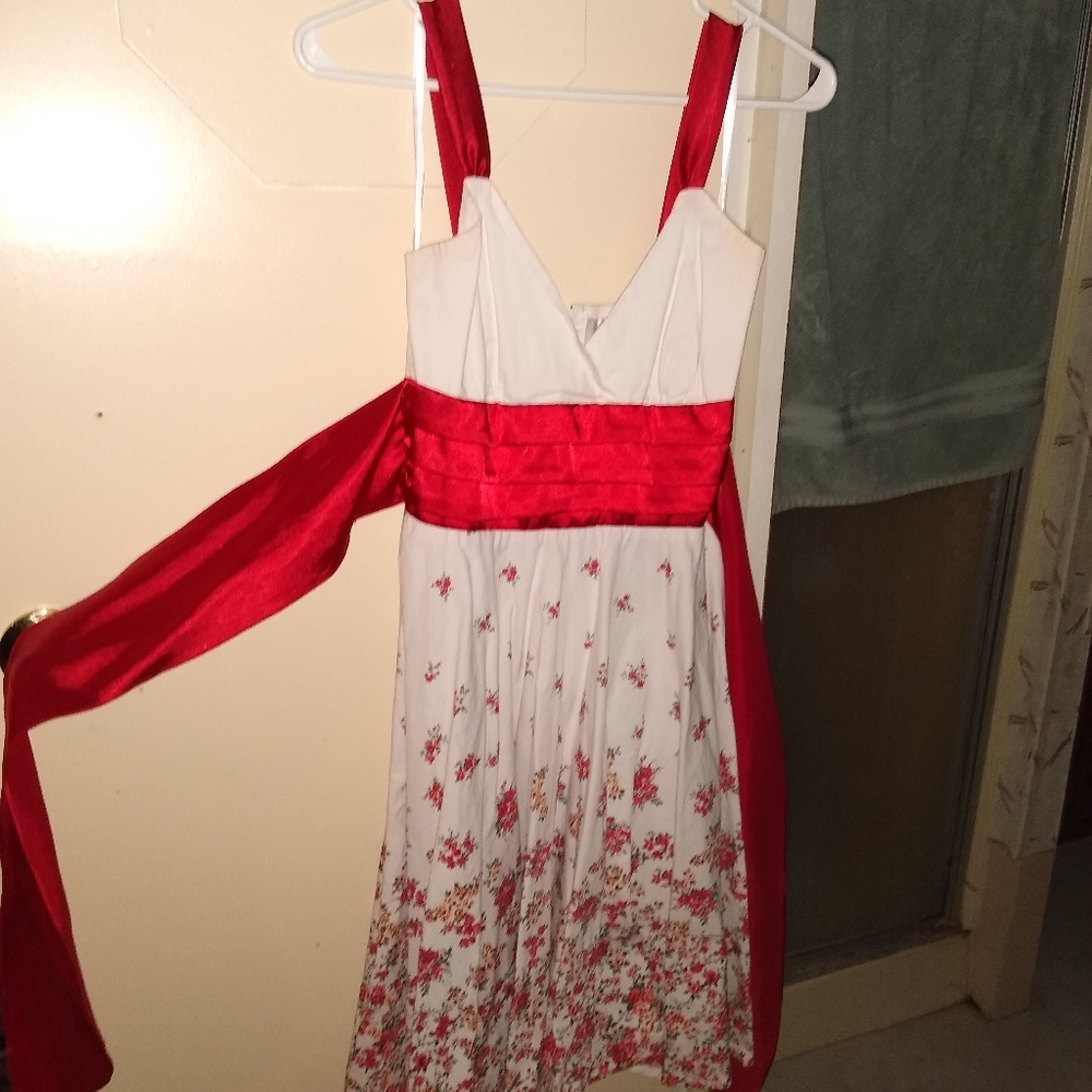 Beautiful Pin Up Dress